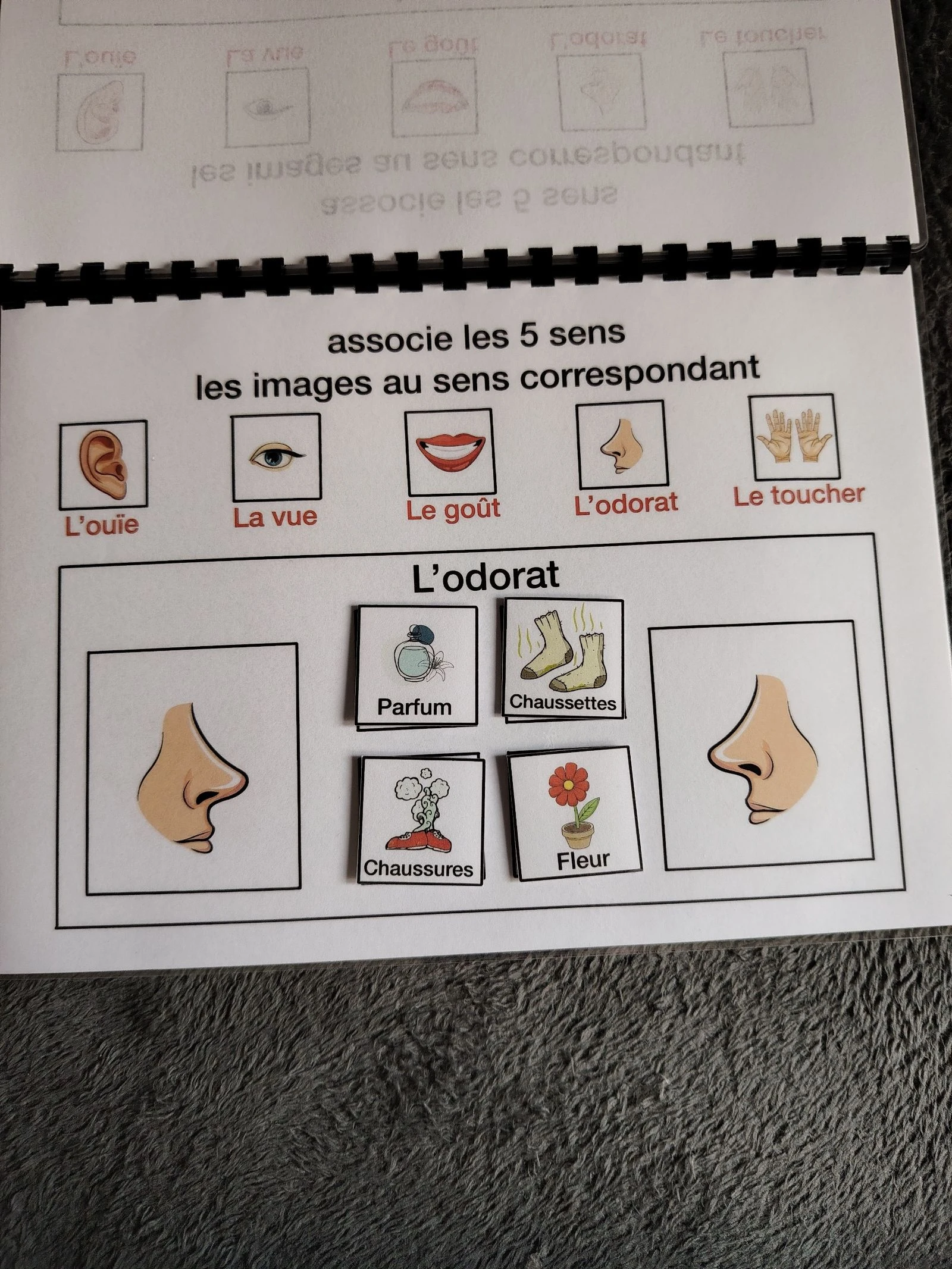 Livro de atividades o corpo humano – photo 6